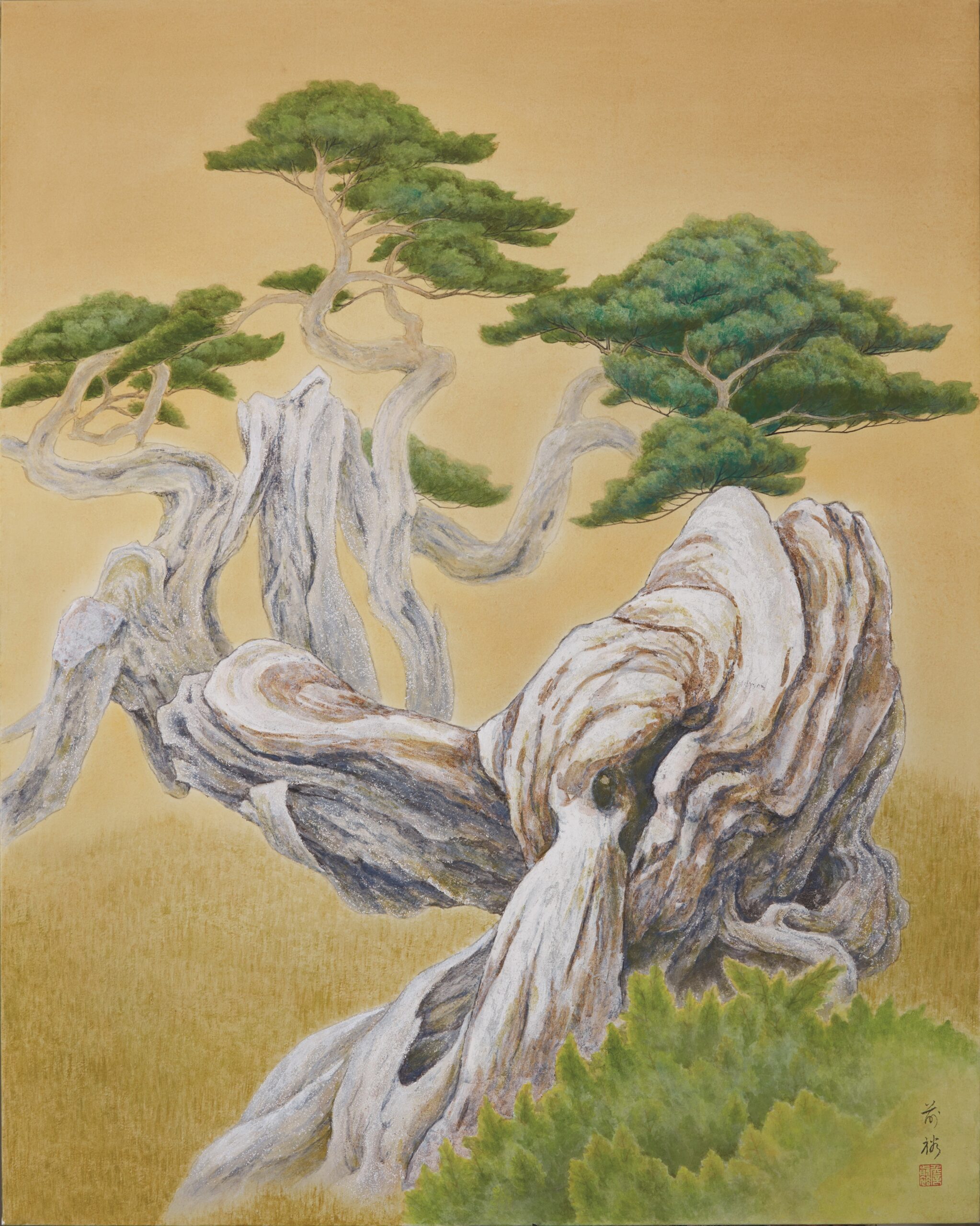 詹前裕 玉山圓柏-虬曲