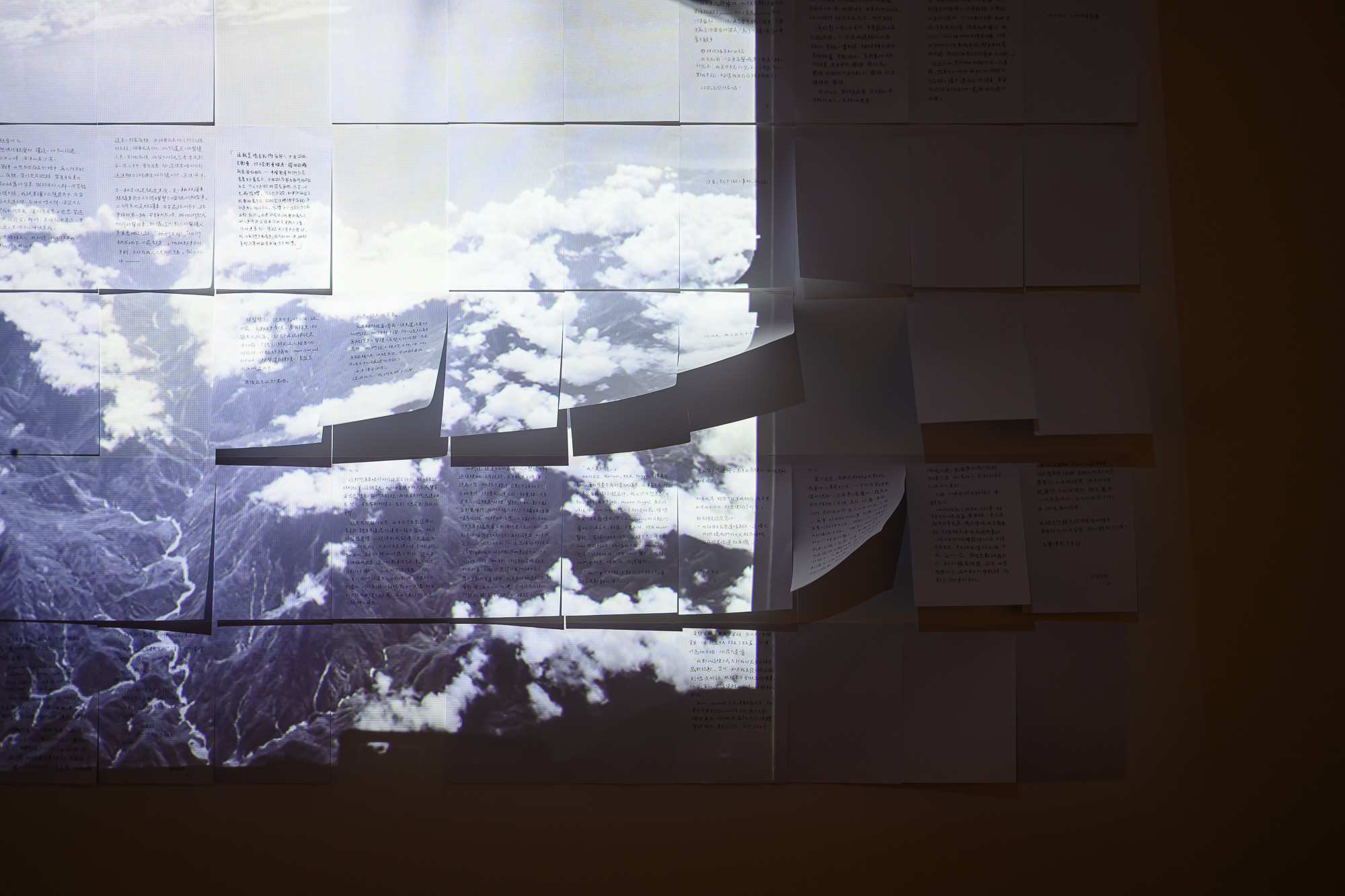 20251215_A Call of All Beings_E_0184_Small