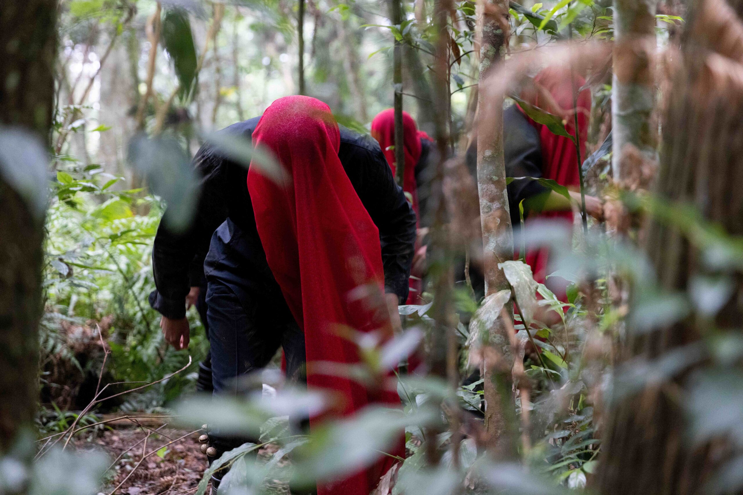 【2】深林／2023／向天湖／Ken Wang (1) (2)