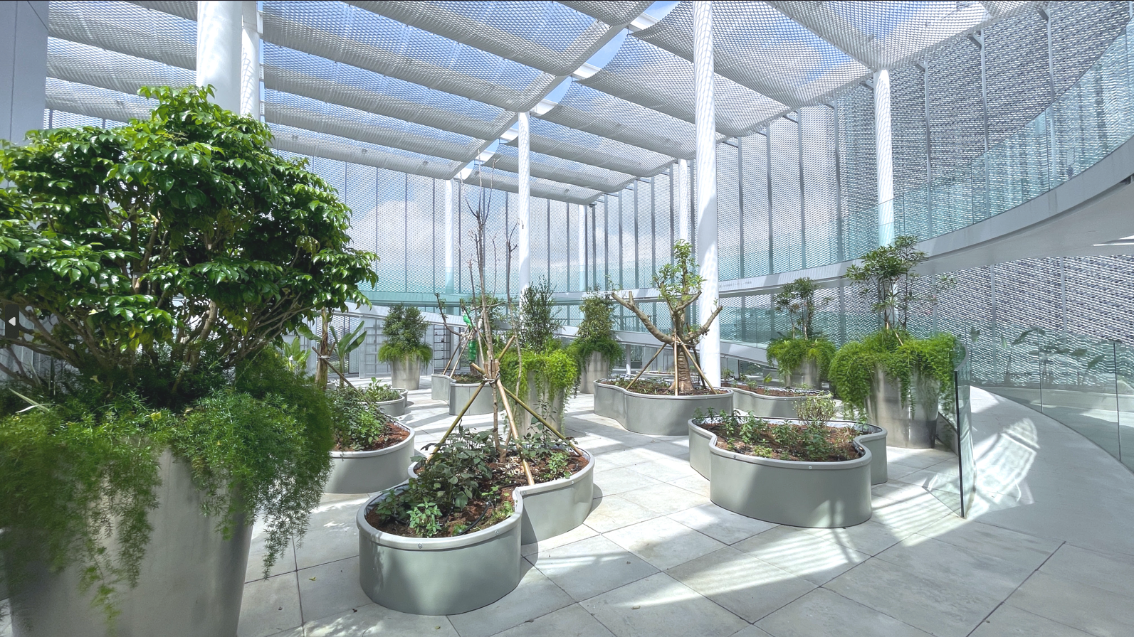 Vietnamese Immigrating Garden Project－Borderless Garden